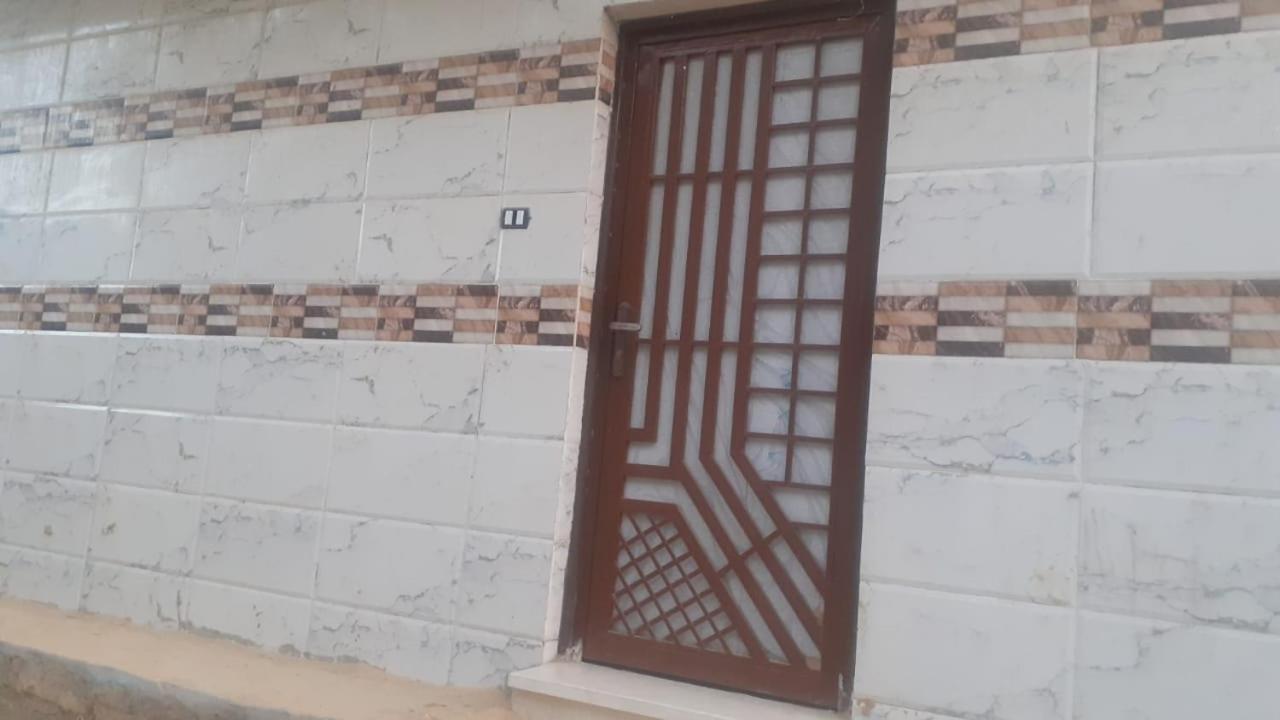 Eka Dolli Elephanten Assouan Extérieur photo