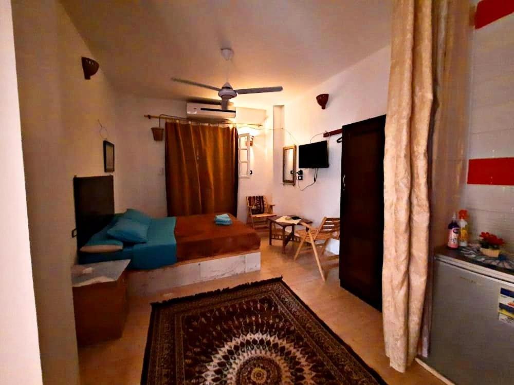 Eka Dolli Elephanten Assouan Extérieur photo